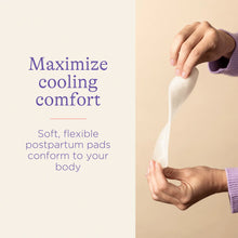 Load image into Gallery viewer, Postpartum Padsicles