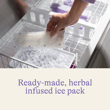 Load image into Gallery viewer, Postpartum Padsicles