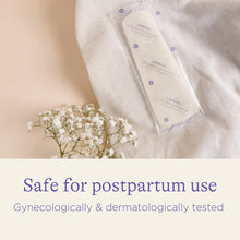 Load image into Gallery viewer, Postpartum Padsicles